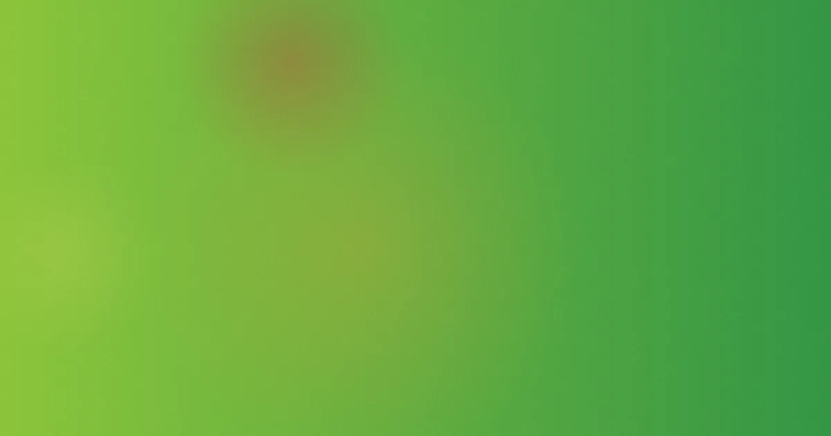 赵梦怎么用：听歌到审美实测